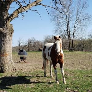 Meet your Posher, Denna